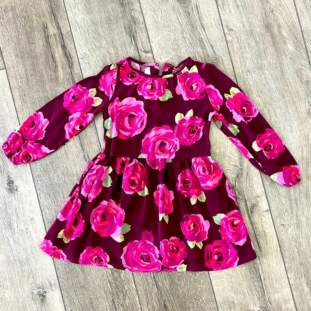 Crazy8 Girl Fall Flower Long Sleeve Dress Size 5T